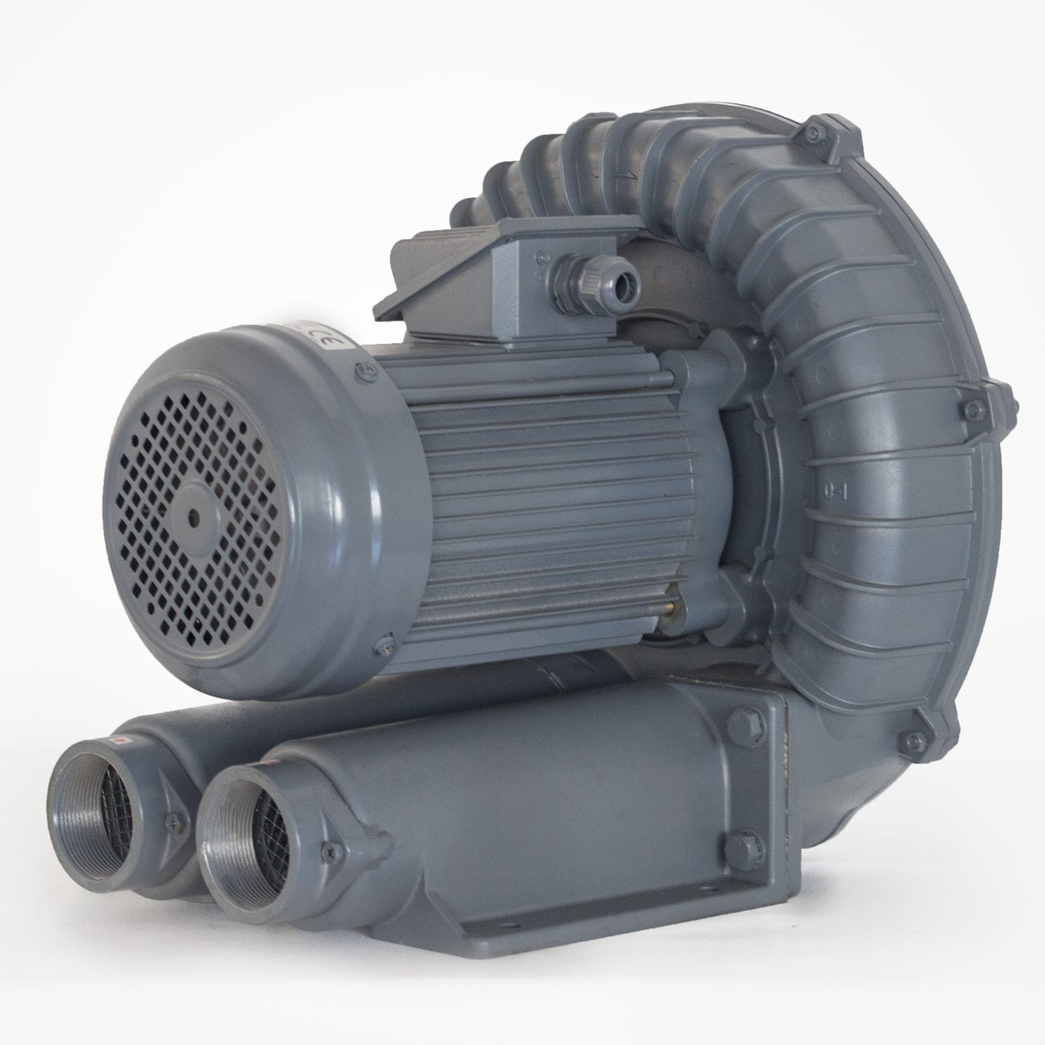 Regenerative Blower